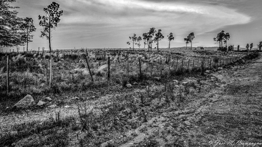 Foto de las sierras de Córdoba en blanco y negro foto 2