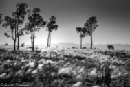 Sierras de Córdoba en blanco y negro foto 3