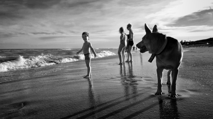 Niño perro y playa
